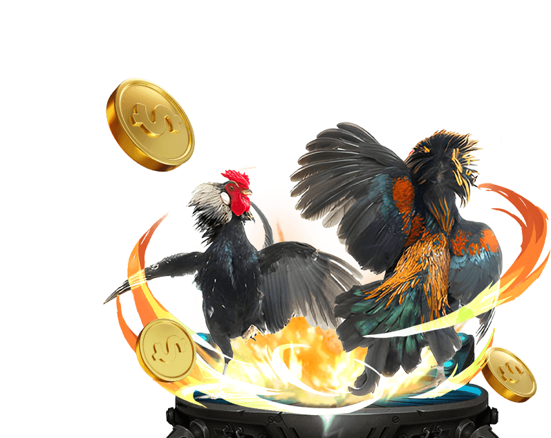 Cá cược Đá Gà 88â c