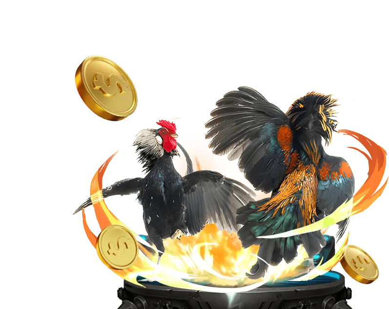 Cá cược Đá Gà 88â c